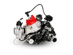 ROTAX 125 DD2 EVO - ENGINE ONLY