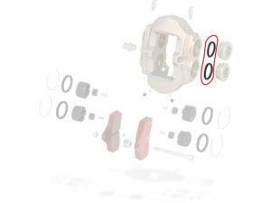 BSS O-RING PLUG