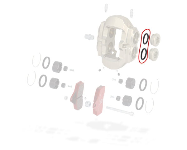 BSS O-RING PLUG